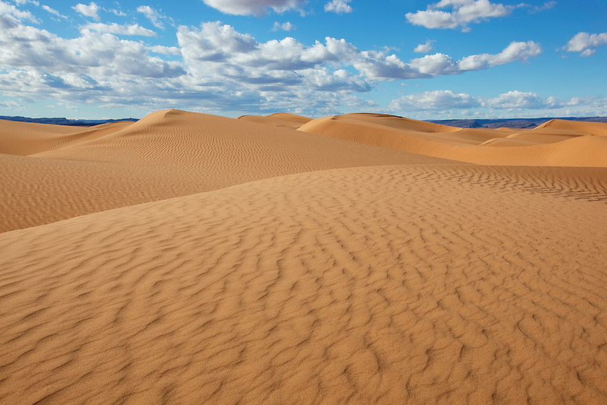 a background information about deserts Landforms deserts national location information of australian deserts extensive expanses of desert make up a large proportion of australia's landscape. a background information about deserts Landforms deserts national location information of australian deserts extensive expanses of desert make up a large proportion of australia's landscape.